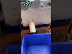 5 strati bottoni di camicia con in 18L uso su accessori di abbigliamento camicia